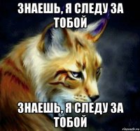 знаешь, я следу за тобой знаешь, я следу за тобой