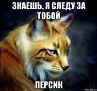 знаешь, я следу за тобой персик
