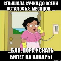 слышала сучка,до осени осталось 8 месяцов .... ...бля, пора искать билет на канары