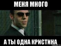 меня много а ты одна кристина