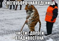 снегоуборочная еденица чистит дороги владивостока