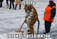 теперь ты видел всё в жизни