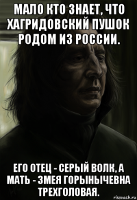 мало кто знает, что хагридовский пушок родом из россии. его отец - серый волк, а мать - змея горынычевна трехголовая.