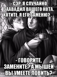 - сэр, я случайно заавадил вашего кота. хотите, я его заменю? . . - говорите, замените? а мышей вы умеете ловить?