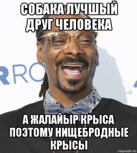 собака лучшый друг человека а жалайыр крыса поэтому нищебродные крысы