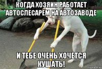 когда хозяин работает автослесарем на автозаводе и тебе очень хочется кушать!