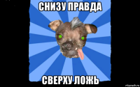 снизу правда сверху ложь