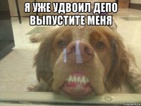 я уже удвоил депо выпустите меня 