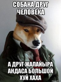 собака друг человека а друг жалайыра андаса большой хуй хаха