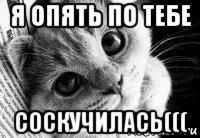 я опять по тебе соскучилась(((