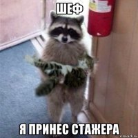 шеф я принес стажера