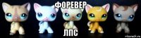 форевер лпс