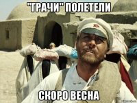 "грачи" полетели скоро весна