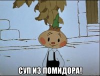  суп из помидора!