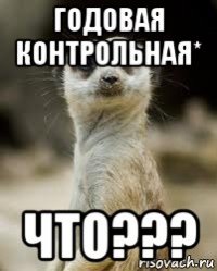 годовая контрольная* что???