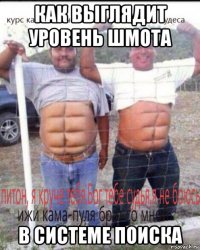 как выглядит уровень шмота в системе поиска