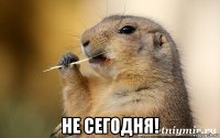  не сегодня!