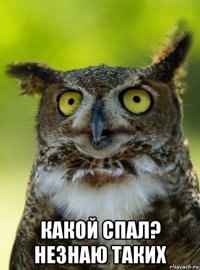  какой спал? незнаю таких