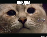 обидка 