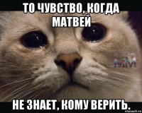 то чувство, когда матвей не знает, кому верить.