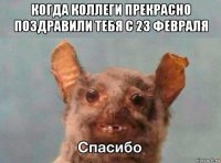 когда коллеги прекрасно поздравили тебя с 23 февраля 