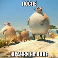 после жрачки на поле