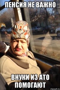пенсия не важно внуки из ато помогают