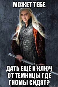 может тебе дать ещё и ключ от темницы где гномы сидят?