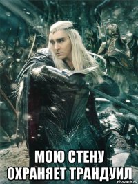  мою стену охраняет трандуил