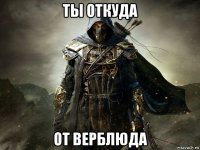 ты откуда от верблюда