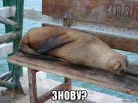  знову?