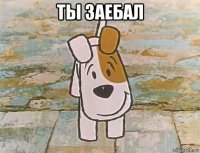 ты заебал 