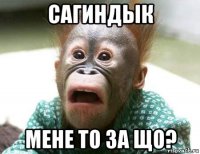 сагиндык мене то за що?