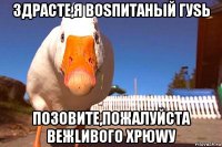 здрасте,я воsпитаный гуsь позовите,пожалуйста вежlивого хрюwу