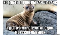 когда ты проигрываешь банк где-то в мире грустит один морской львенок
