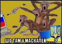  шо там у маскалей . . . . ?