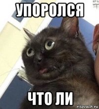 упоролся что ли