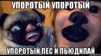 упоротый упоротый упоротый пёс и пьюдипай
