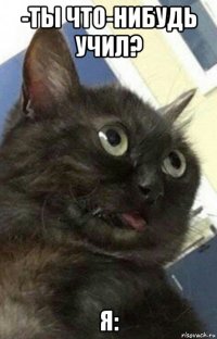 -ты что-нибудь учил? я:
