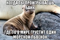 когда ты проигрываешь банк где-то в мире грустит один морской львенок