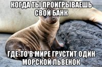 когда ты проигрываешь свой банк где-то в мире грустит один морской львенок