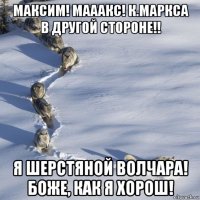 максим! мааакс! к.маркса в другой стороне!! я шерстяной волчара! боже, как я хорош!