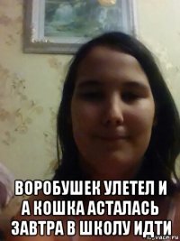  воробушек улетел и а кошка асталась завтра в школу идти
