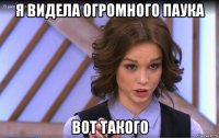 я видела огромного паука вот такого