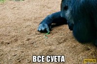  все суета