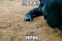 !!!о п а!!! чирик