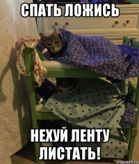 спать ложись нехуй ленту листать!