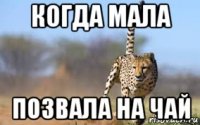 когда мала позвала на чай