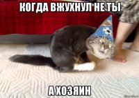 когда вжухнул не ты а хозяин