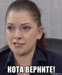  кота верните!